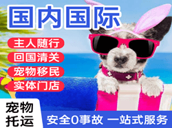济宁大安机场空运国际宠物托运 【国
